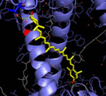 Lutein in LHCII