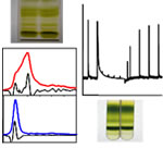 Biophysical and Biochemical techniques